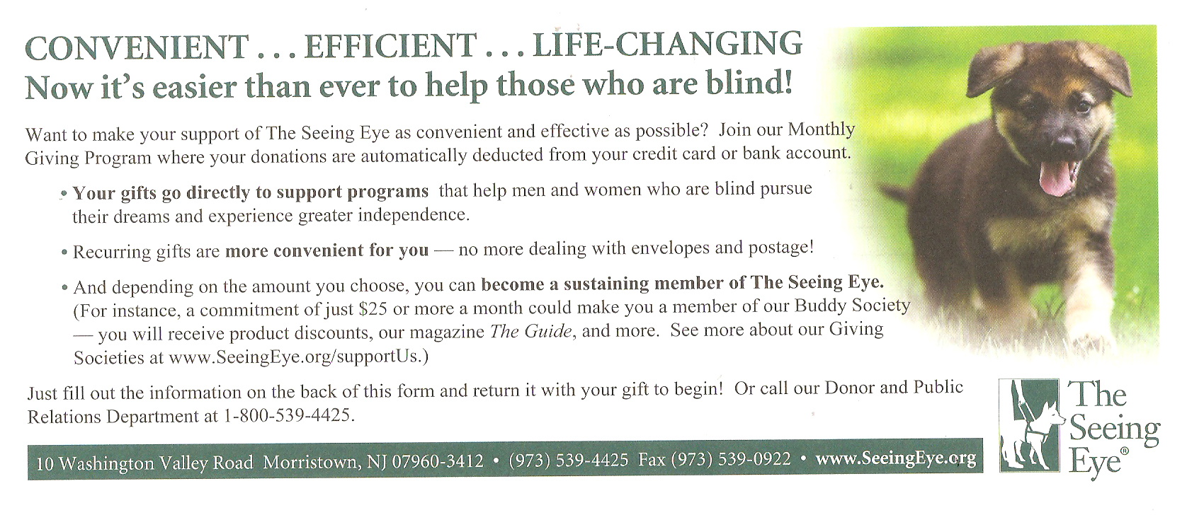 Blind, Visually Disabled Achieve IndependenceGuide Dog Schools, DAV